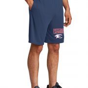 LOGO_Shorts_Navy__Person_ST355P